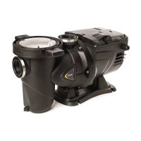 DAB EUROSWIM 200 T - IE3