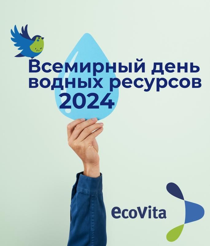 День воды 2024