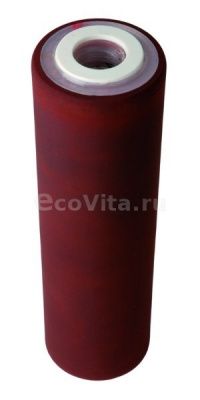 Гейзер Арагон ЕЖ