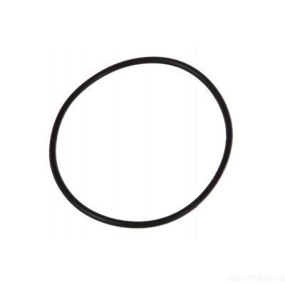 Уплотнительное кольцо для корпуса SUS 304-BFL-3-4