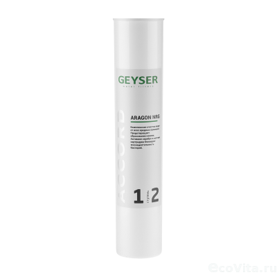 Гейзер Арагон NRG Accord