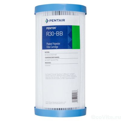 Pentair (Pentek) R-30 BB