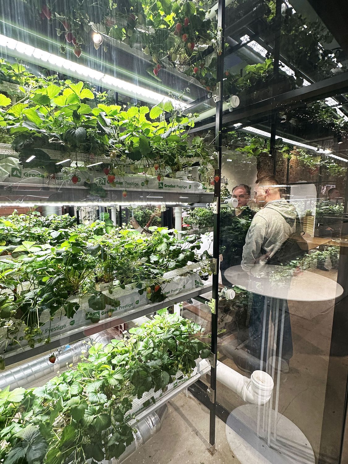 Поздравление с 8 марта