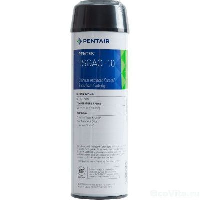 Pentair (Pentek) TSGAC-10