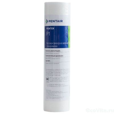 Pentair (Pentek) P1