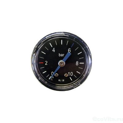 BWT манометр для Protector mini HWS