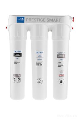 Гейзер Престиж Смарт (без крана)