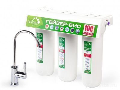 Гейзер Био 331