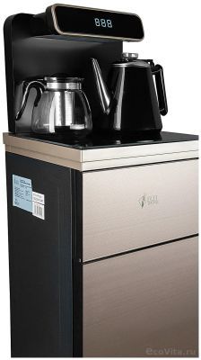 Ecotronic TB10-LNR gold