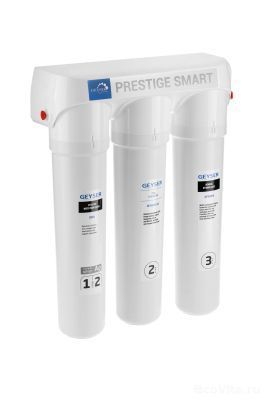 Гейзер Престиж Смарт Антибор