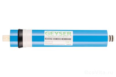 Гейзер 2012-100