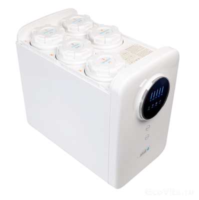 Atoll Cruise 600 (A-5500p)