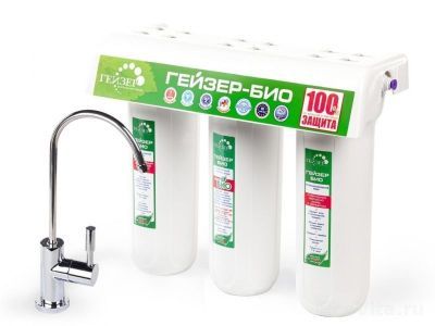 Гейзер Био 311